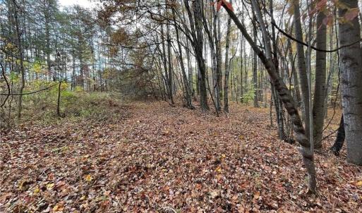 Photo #6 of +/- 17.06 Johnson, King, NC 17.1 acres