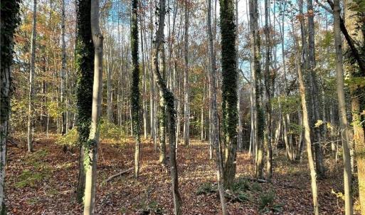 Photo #7 of +/- 17.06 Johnson, King, NC 17.1 acres