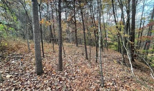 Photo #3 of +/- 17.06 Johnson, King, NC 17.1 acres