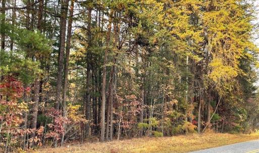 Photo #1 of +/- 17.06 Johnson, King, NC 17.1 acres