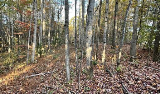Photo #10 of +/- 17.06 Johnson, King, NC 17.1 acres