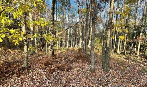 Photo #8 of +/- 17.06 Johnson, King, NC 17.1 acres