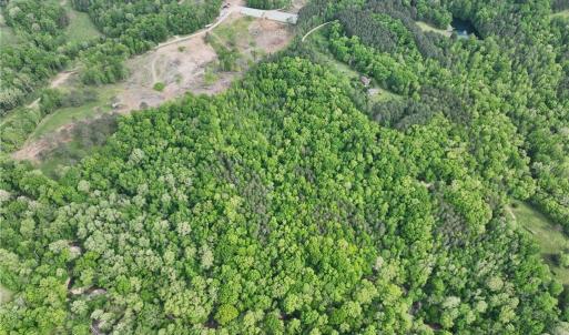 Photo #6 of Windchester, Blanch, NC 33.7 acres