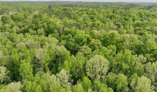 Photo #9 of Windchester, Blanch, NC 33.7 acres