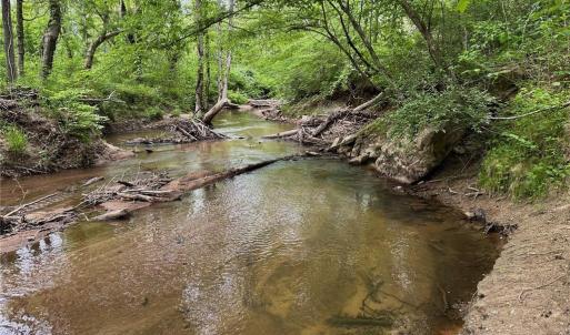 Photo #14 of Windchester, Blanch, NC 33.7 acres