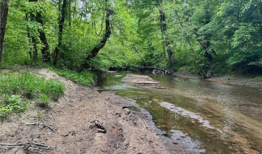 Photo #15 of Windchester, Blanch, NC 33.7 acres