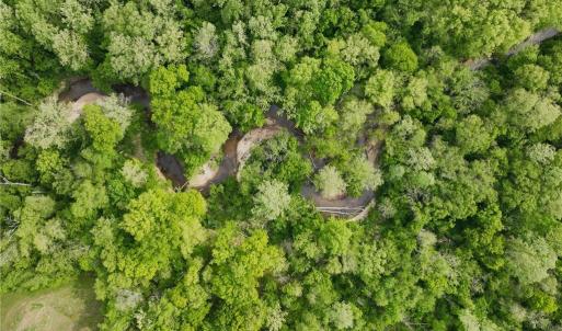 Photo #8 of Windchester, Blanch, NC 33.7 acres