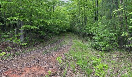Photo #11 of Windchester, Blanch, NC 33.7 acres