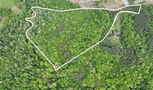 Photo #3 of Windchester, Blanch, NC 33.7 acres