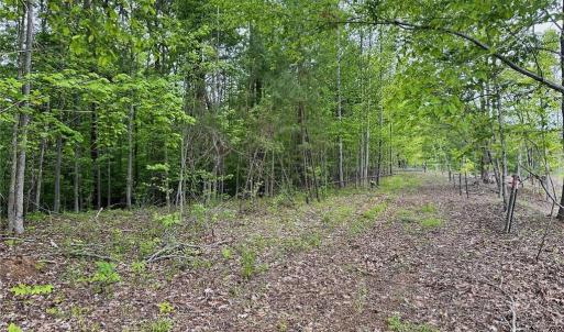 Photo #10 of Windchester, Blanch, NC 33.7 acres