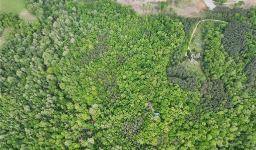 Photo #5 of Windchester, Blanch, NC 33.7 acres