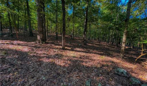 Photo #7 of 388 palisade, Denton, NC 2.7 acres