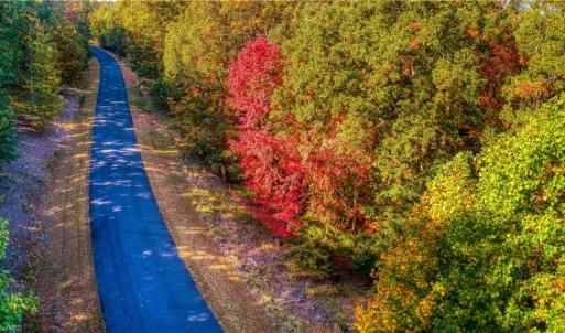 Photo #5 of 388 palisade, Denton, NC 2.7 acres