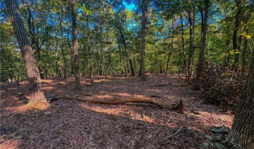 Photo #9 of 388 palisade, Denton, NC 2.7 acres