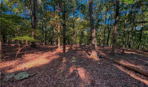 Photo #8 of 388 palisade, Denton, NC 2.7 acres