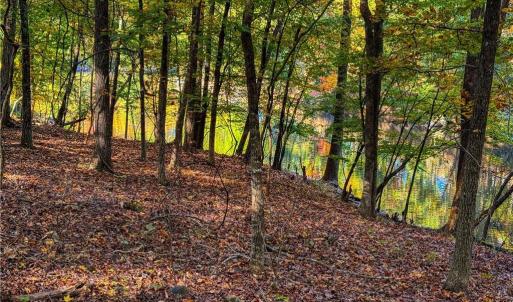 Photo #13 of 618 Rocky Cove, Denton, NC 1.0 acres