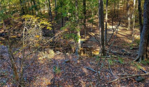 Photo #16 of 618 Rocky Cove, Denton, NC 1.0 acres