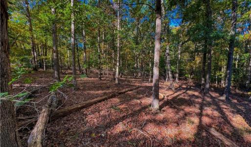 Photo #9 of 618 Rocky Cove, Denton, NC 1.0 acres