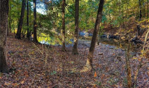 Photo #15 of 618 Rocky Cove, Denton, NC 1.0 acres