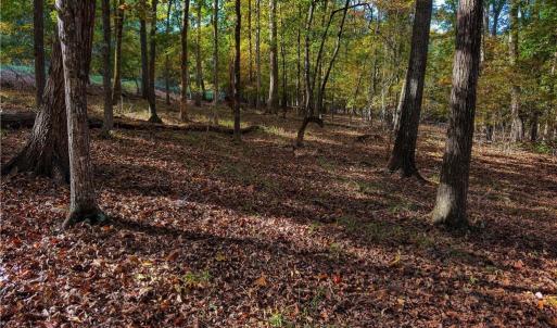 Photo #11 of 618 Rocky Cove, Denton, NC 1.0 acres