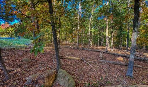 Photo #8 of 618 Rocky Cove, Denton, NC 1.0 acres