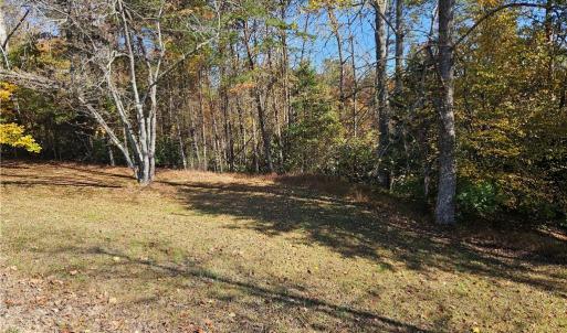 Photo #8 of Jackson, Westfield, NC 3.0 acres
