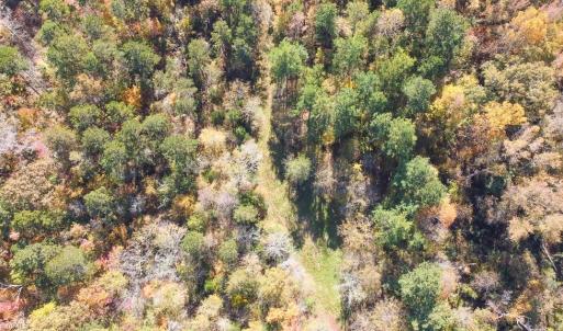 Photo #12 of 5509,5505,5505zz, 5509zz, DRAKE, Greensboro, NC 20.3 acres