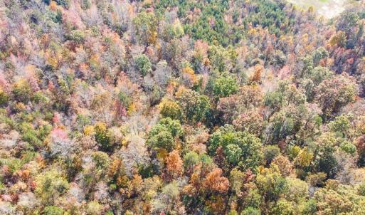 Photo #17 of 5509,5505,5505zz, 5509zz, DRAKE, Greensboro, NC 20.3 acres