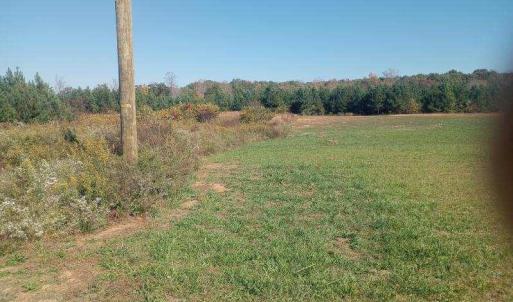 Photo #2 of TBD Paschal, Yanceyville, NC 4.2 acres