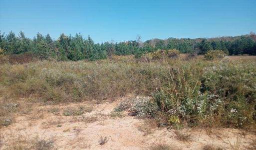 Photo #1 of TBD Paschal, Yanceyville, NC 4.2 acres