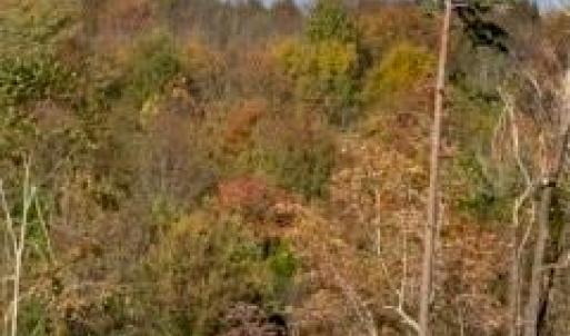 Photo #3 of 0 Off Newsome, King, NC 1.5 acres