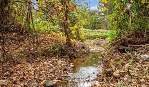 Photo #16 of 31.51 Bald Hill Loop, Madison, NC 31.5 acres