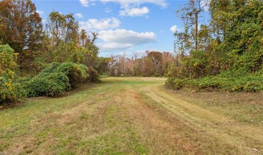 Photo #12 of 31.51 Bald Hill Loop, Madison, NC 31.5 acres