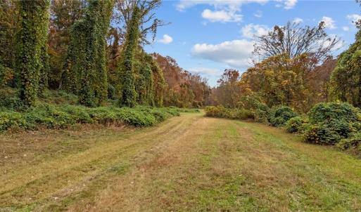 Photo #14 of 31.51 Bald Hill Loop, Madison, NC 31.5 acres