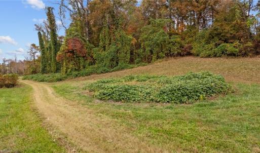 Photo #11 of 31.51 Bald Hill Loop, Madison, NC 31.5 acres