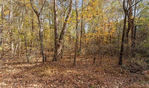 Photo #2 of Jay Dee, Winston-Salem, NC 7.1 acres