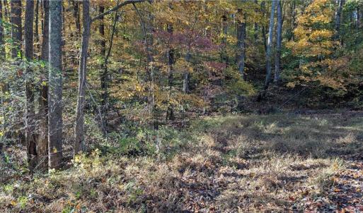Photo #18 of Jay Dee, Winston-Salem, NC 7.1 acres