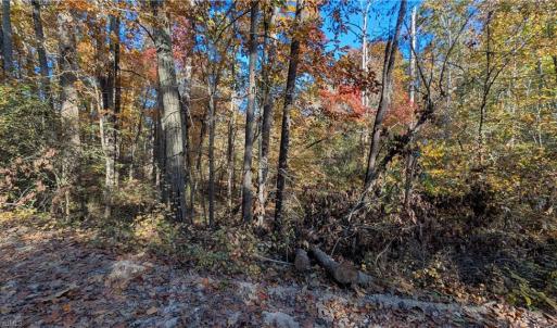 Photo #4 of Jay Dee, Winston-Salem, NC 7.1 acres