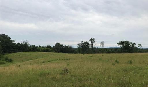 Photo #4 of NC Highway 89, Francisco, NC 11.7 acres