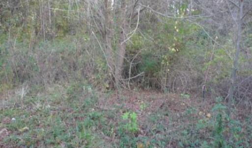 Photo #2 of 187 Caravan, Mocksville, NC 1.0 acres