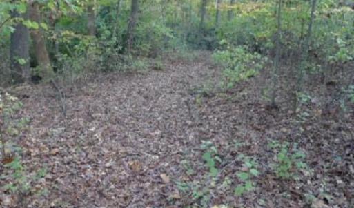 Photo #1 of 187 Caravan, Mocksville, NC 1.0 acres