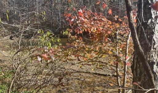 Photo #2 of Portion of 1790 Mallard Lakes, Winston-Salem, NC 1.0 acres