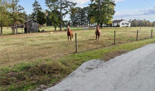 Photo #7 of 0-A US Highway 311, Archdale, NC 1.5 acres