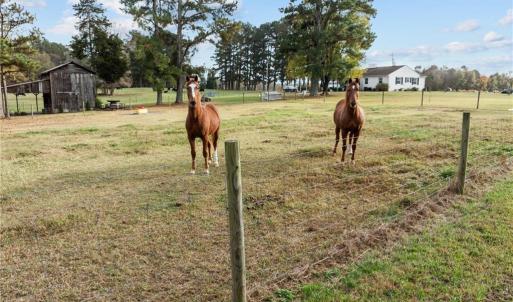 Photo #5 of 0-C US Highway 311, Archdale, NC 1.3 acres