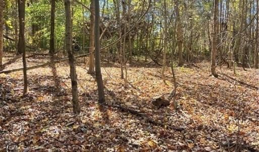 Photo #2 of 2713 Brame, Greensboro, NC 1.5 acres