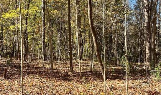 Photo #3 of 2713 Brame, Greensboro, NC 1.5 acres