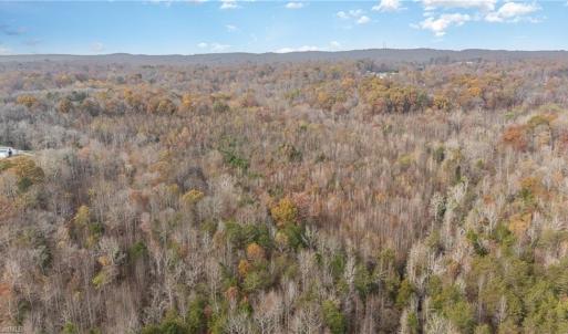 Photo #9 of 6159 Hideaway, Trinity, NC 58.7 acres