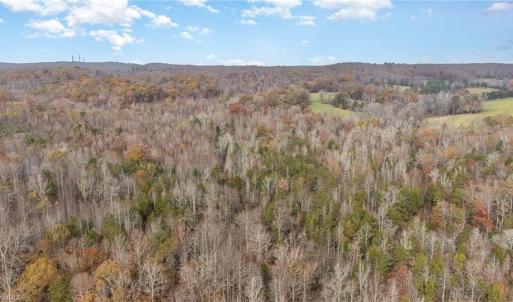 Photo #10 of 6159 Hideaway, Trinity, NC 58.7 acres