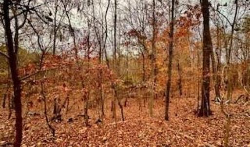 Photo #11 of 338 River Pines, Clemmons, NC 3.5 acres
