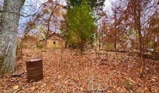 Photo #7 of 338 River Pines, Clemmons, NC 3.5 acres
